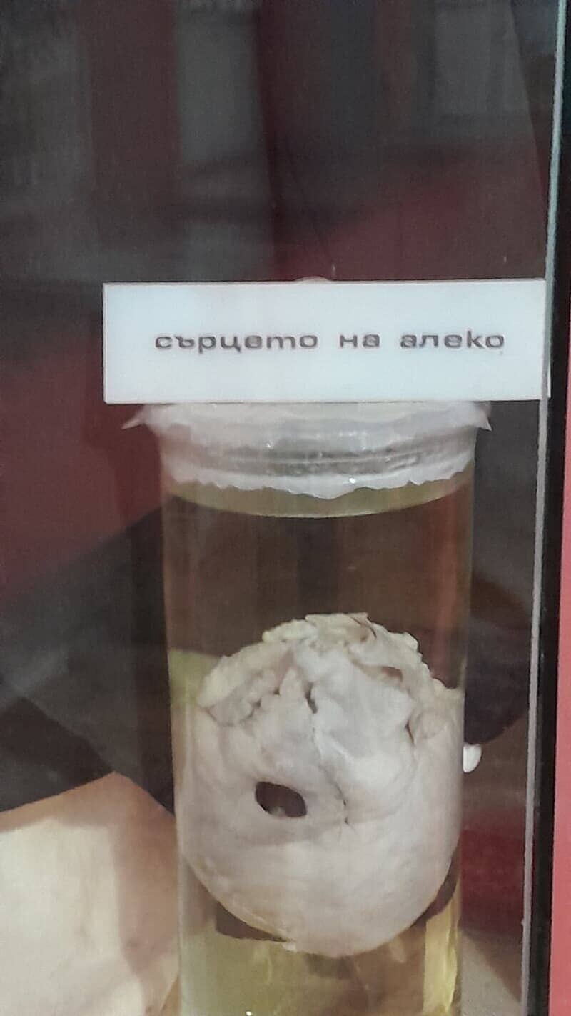 Еднодневна екскурзия в Свищов  на 6.а, 6.б, 6.в и 6.г клас - p13